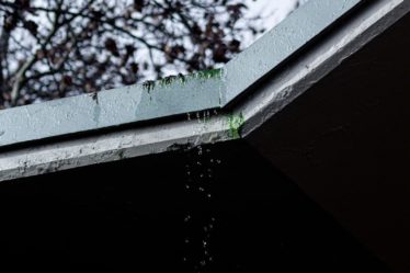 a bird is perched on the roof of a building