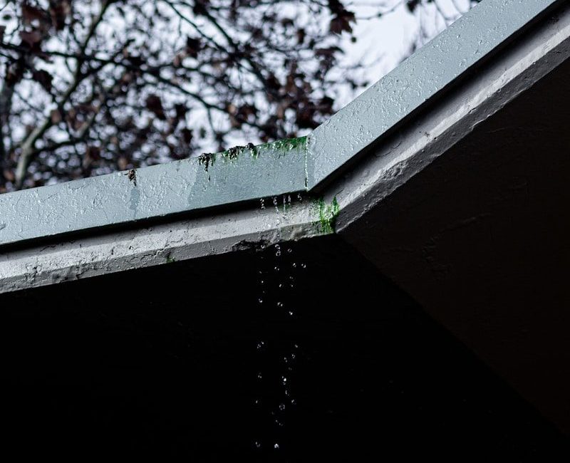 a bird is perched on the roof of a building